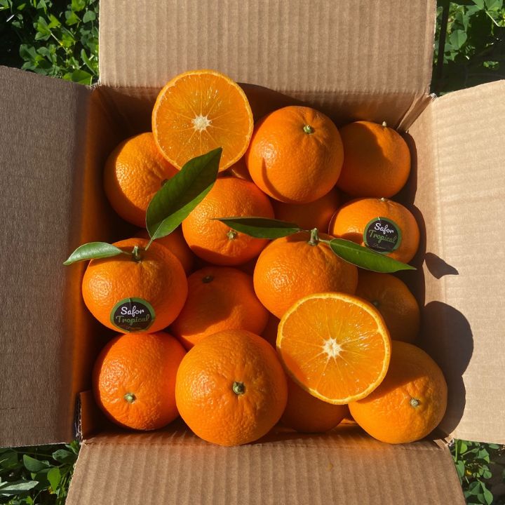 Mandarinas de zumo